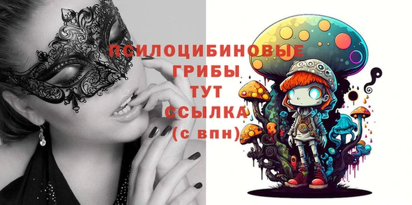 круглые Алзамай