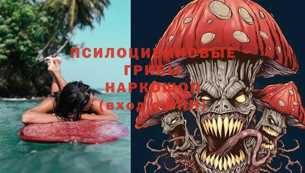 круглые Алзамай
